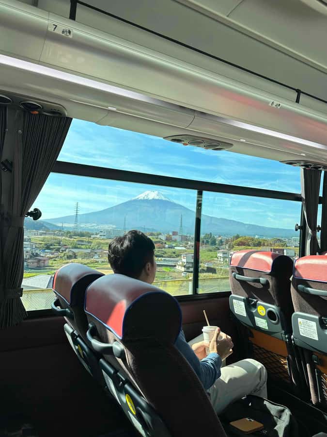 Tokyo: Mt Fuji Area Guided Tour with Traditional Lunch - Price and Value: Is $96 Worth It for a Fuji Day Trip?