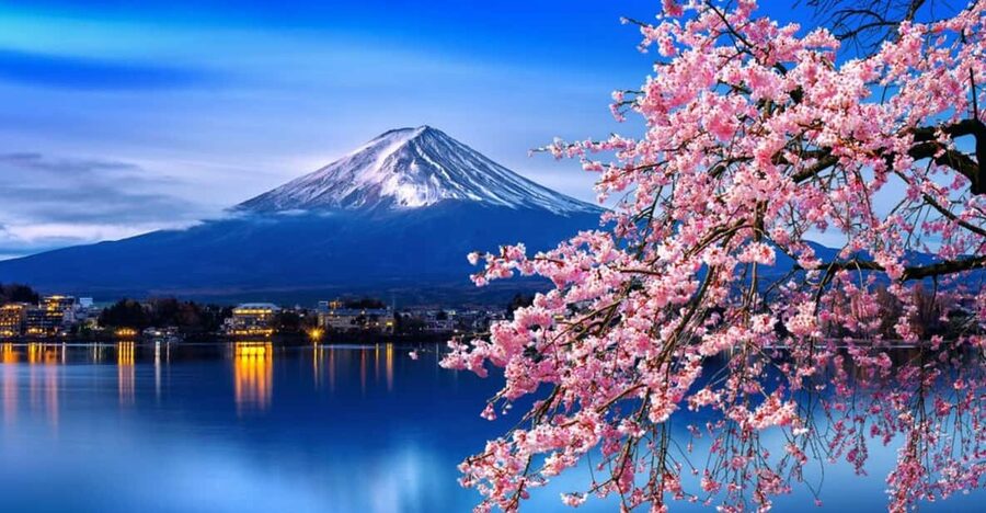 Tokyo: Mt. Fuji & Hakone Cherry Blossoms Private Day Tour - Key highlights worth knowing