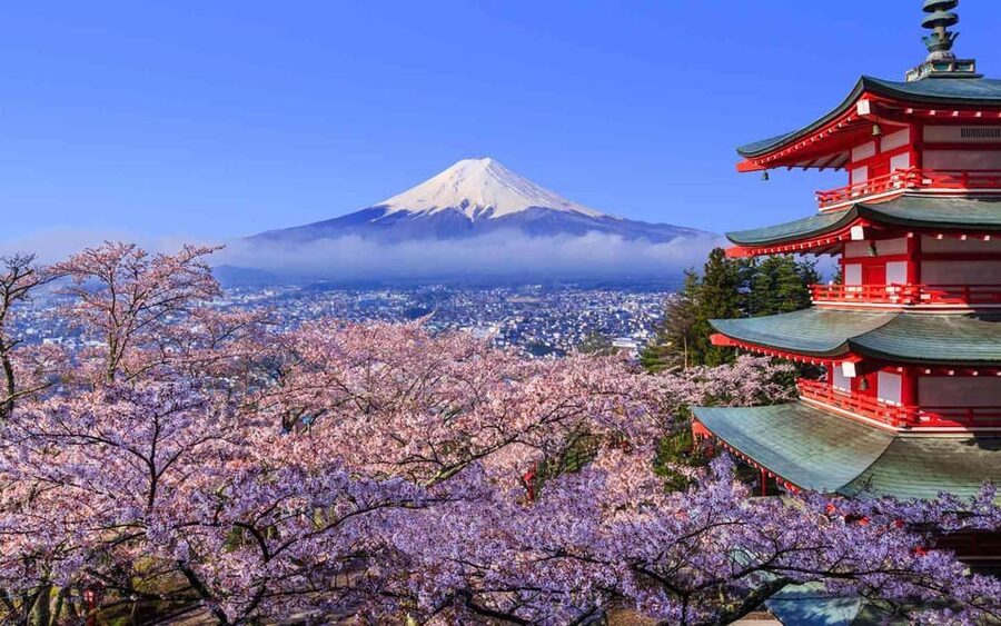 Tokyo: Mt. Fuji & Hakone Cherry Blossoms Private Day Tour - Chureito Pagoda and cherry blossoms: where the view is the whole point