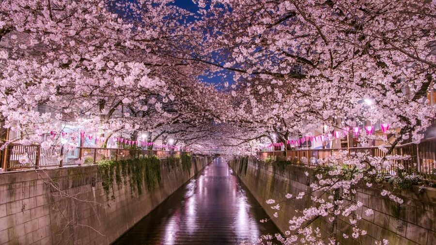 Tokyo: Mt. Fuji & Hakone Cherry Blossoms Private Day Tour - Lake Ashi and Hakone’s sulfur zone: the contrast with Fuji beauty