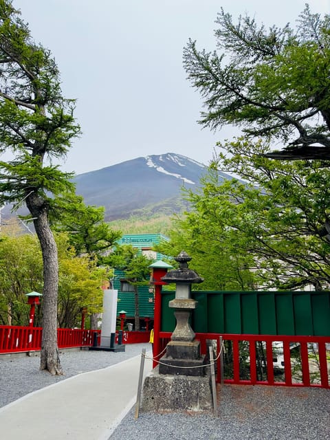 Tokyo: Mt. Fuji & Hakone Cherry Blossoms Private Day Tour - Price and logistics: when private value makes sense