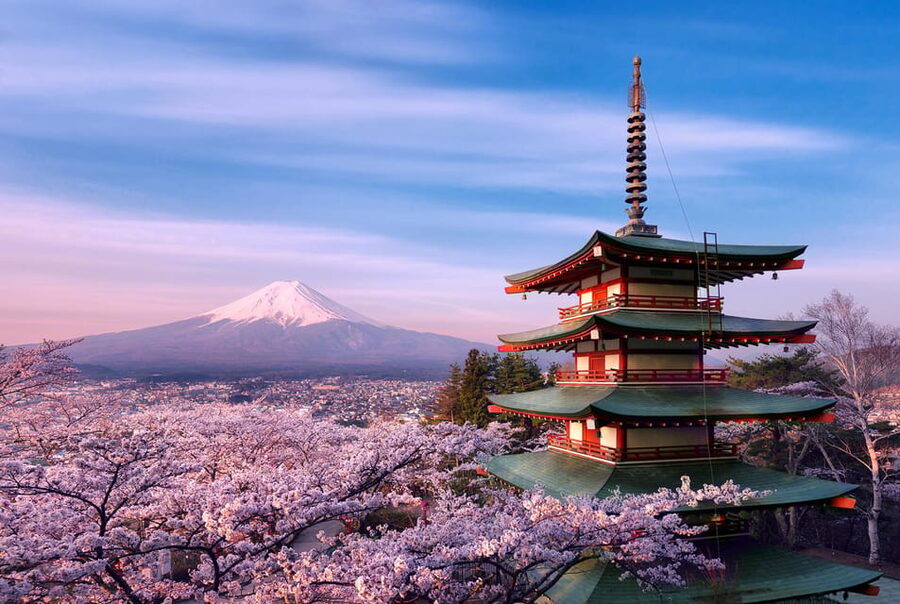 Tokyo:Mt Fuji & Hakone Day Tour with English Speaking Driver - Pickup, private ride comfort, and how the schedule really works