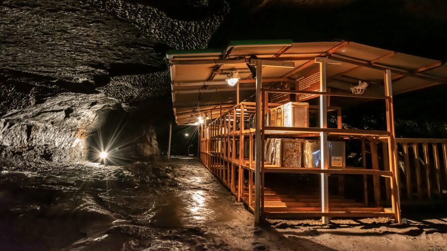 Tokyo: Mt. Fuji Hidden Gems and Aokigahara Forest Tour - How the private-car Mt. Fuji day works from central Tokyo