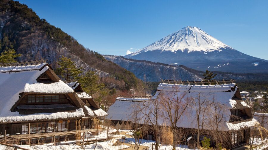 Tokyo: Mt. Fuji Hidden Gems and Aokigahara Forest Tour - Narusawa Ice Cave: volcanic cold, seasonal reality, and closure risk