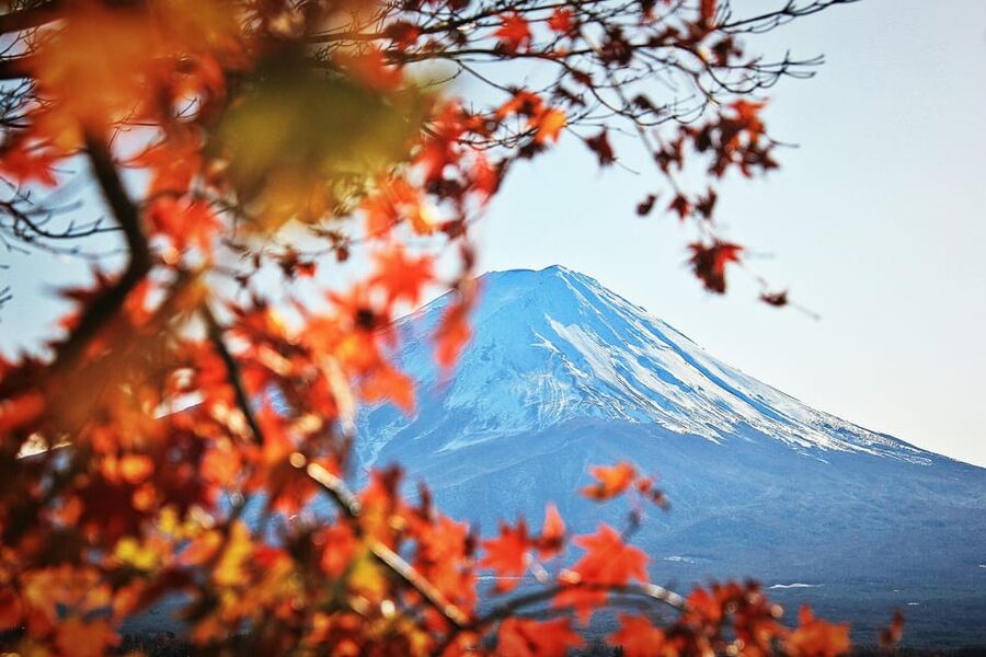 Tokyo: Mt. Fuji Hidden Gems and Aokigahara Forest Tour - Fugaku Wind Cave: the geology you can read with your eyes