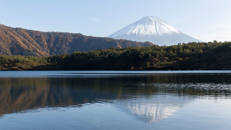 Tokyo: Mt. Fuji Hidden Gems and Aokigahara Forest Tour - What to pack and how to stay comfortable (especially in caves)
