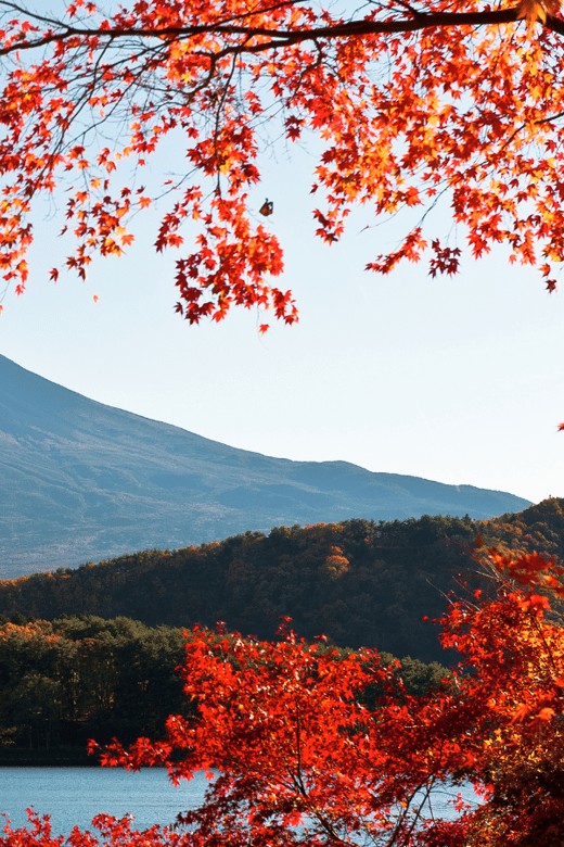 Tokyo: Mt. Fuji Hidden Gems and Aokigahara Forest Tour - Oishi Park and Saiko Nenba-hama: Fuji views with fewer stress points