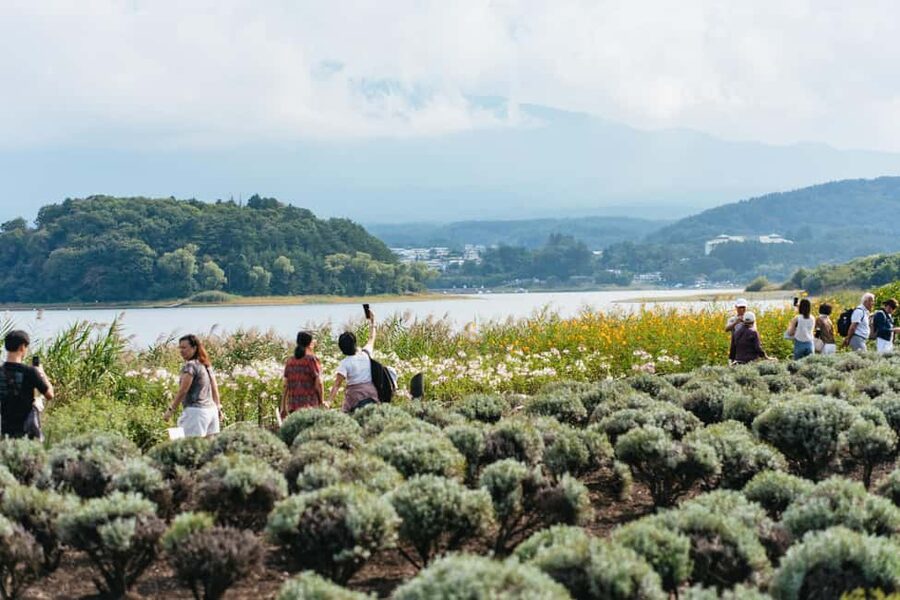 Tokyo: Mt. Fuji, Kamakura, Big Buddha, & Lake Ashi Day Trip - Oshino Hakkai Ponds: The Fuji-Water Moment You’ll Remember