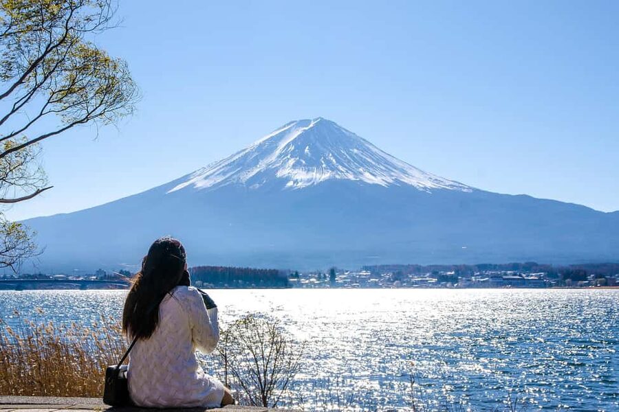Tokyo: Mt. Fuji, Kamakura, Big Buddha, & Lake Ashi Day Trip - Oishi Park and Lake Kawaguchi: Where the Classic Fuji View Gets Tested