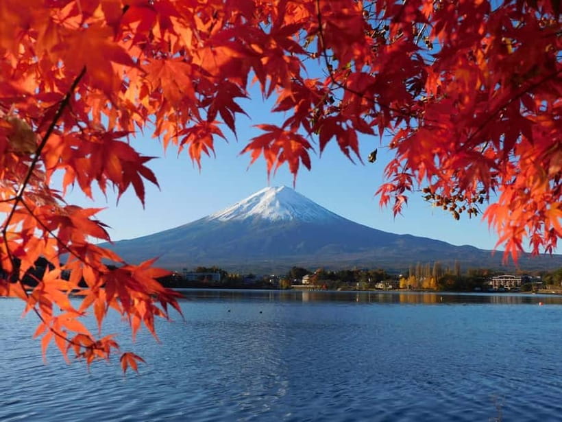 Tokyo:Mt.Fuji,Kawaguchiko Oishi Park,Arakurayama Sengen Park - Price and What You Really Get for Around $54