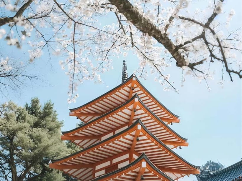 Tokyo: Mt. Fuji & Lake Kawaguchi Instagram Full Day Trip - Who this Mt. Fuji and Lake Kawaguchi day trip suits best
