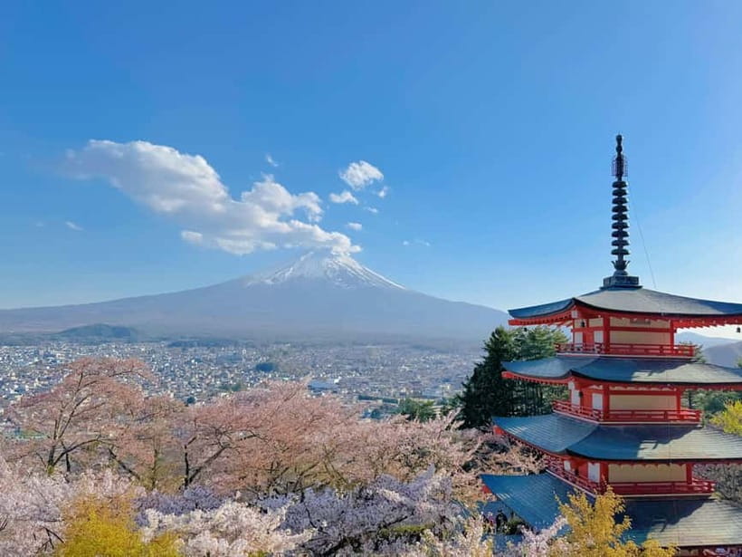 Tokyo: Mt. Fuji & Lake Kawaguchi Instagram Full Day Trip - Guide and group experience: how Hikari-style professionalism shows up