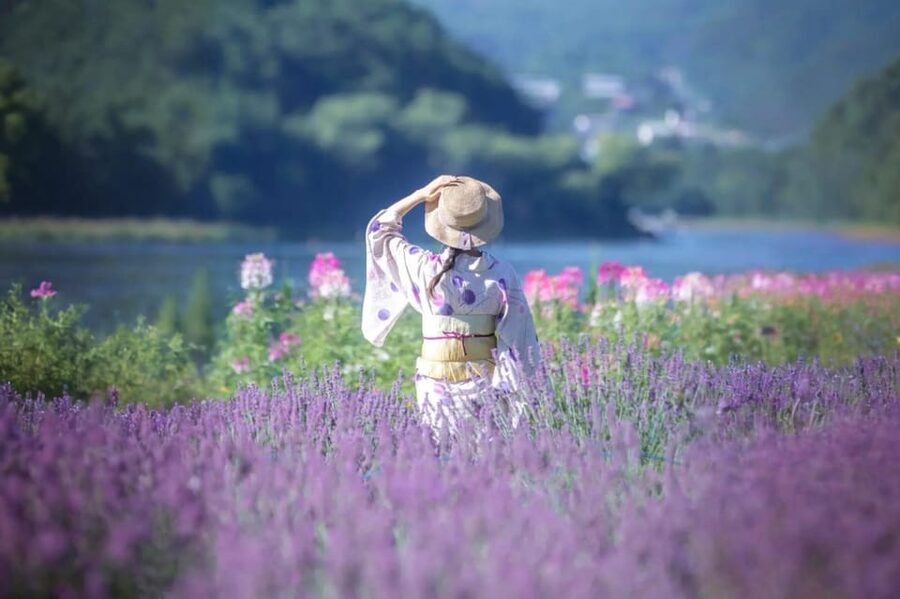 Tokyo: Mt Fuji Lake Kawaguchi & Yamanaka Hot Spring Day Tour - Should you book this Tokyo to Mt. Fuji Lake Kawaguchi & Lake Yamanaka tour?