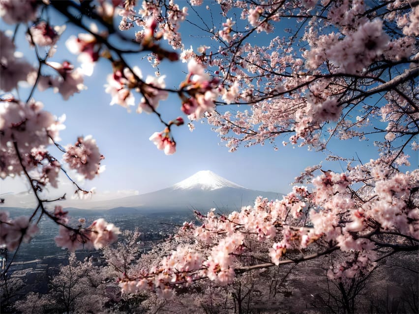 Tokyo: Mt Fuji Lake Kawaguchi & Yamanaka Hot Spring Day Tour - Photography and weather logic: getting better Fuji shots with less stress