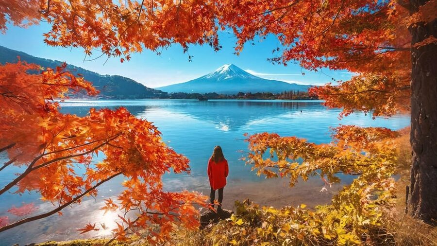 Tokyo: Mt Fuji Lake Kawaguchi & Yamanaka Hot Spring Day Tour - Value check: is $68 a good deal for Fuji, transport, and onsen time?
