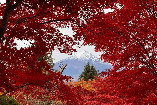 Tokyo: Mt.Fuji & Lake Kawaguchiko 1-Day Bus Tour w/Optional Lunch - Lake Kawaguchiko Craft Park: lunch options and a calm lake stroll