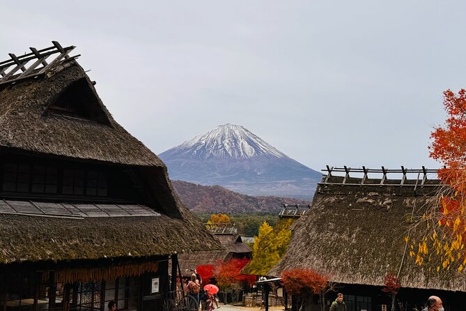Tokyo: Mt.Fuji & Lake Kawaguchiko 1-Day Bus Tour w/Optional Lunch - Saiko Iyashi no Sato Nenba: thatched-roof village by Lake Saiko