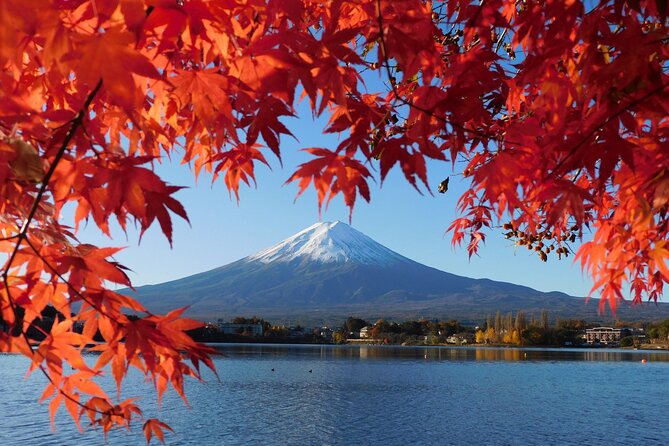 Tokyo: Mt.Fuji & Lake Kawaguchiko 1-Day Bus Tour w/Optional Lunch - Chureito Pagoda stairs and Arakurayama Sengen Park views