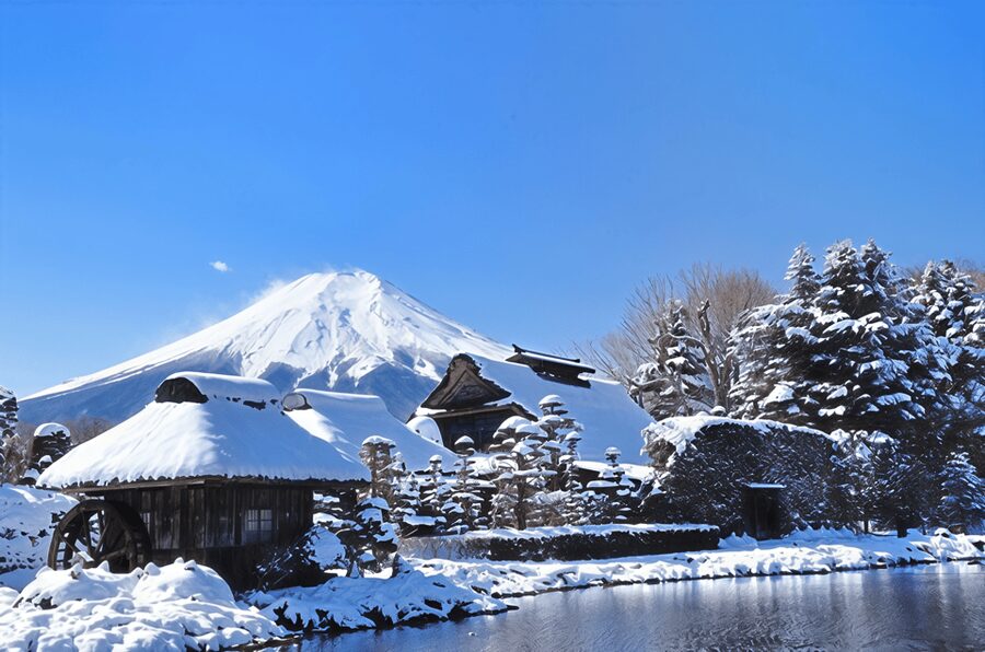Tokyo: Mt Fuji Lake Kawaguchiko Tour & Arakuyama Sengen Park - Arakurayama Sengen Park and Chureito Pagoda: the Fuji-step combo