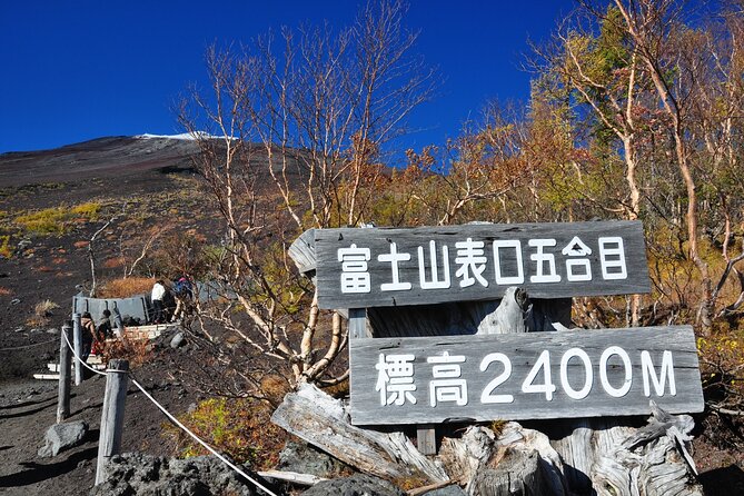 Tokyo: Mt. Fuji, Oshino Hakkai and Gotemba Outlets 1-Day Bus Tour - Key things that make this day trip work