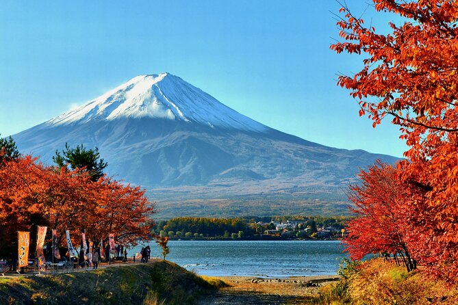 Tokyo: Mt. Fuji, Oshino Hakkai and Gotemba Outlets 1-Day Bus Tour - From Shinjuku to Fuji: the practical value of a 9–10 hour loop