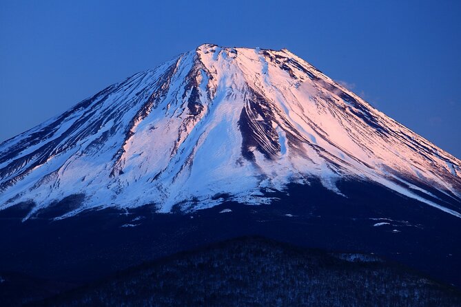 Tokyo: Mt. Fuji, Oshino Hakkai and Gotemba Outlets 1-Day Bus Tour - Mt. Fuji 5th Station: where the air turns cold and photos get real