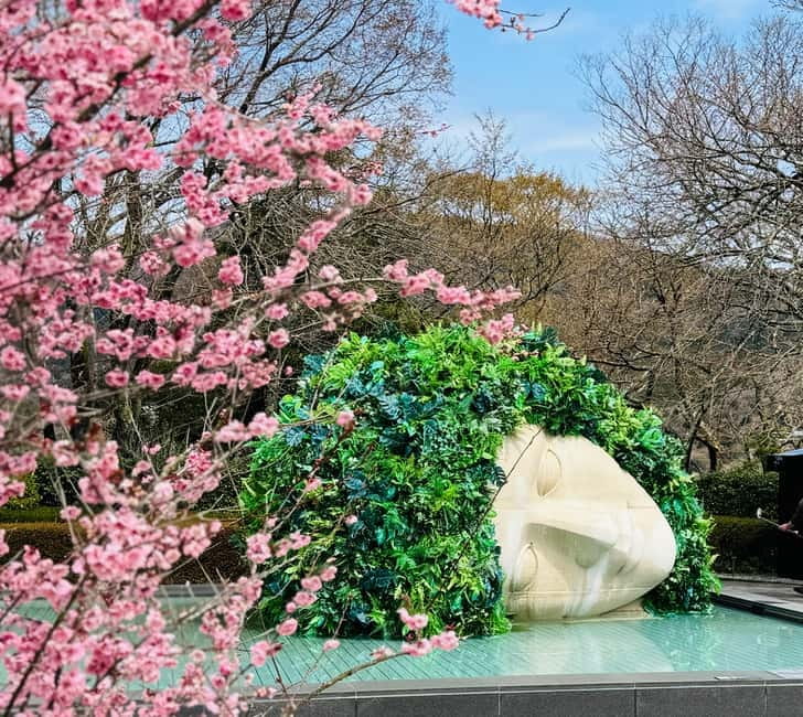 Tokyo: Mt. Fuji, Owakudani, Hakone Shrine, & Open-Air Museum - Key Highlights That Matter