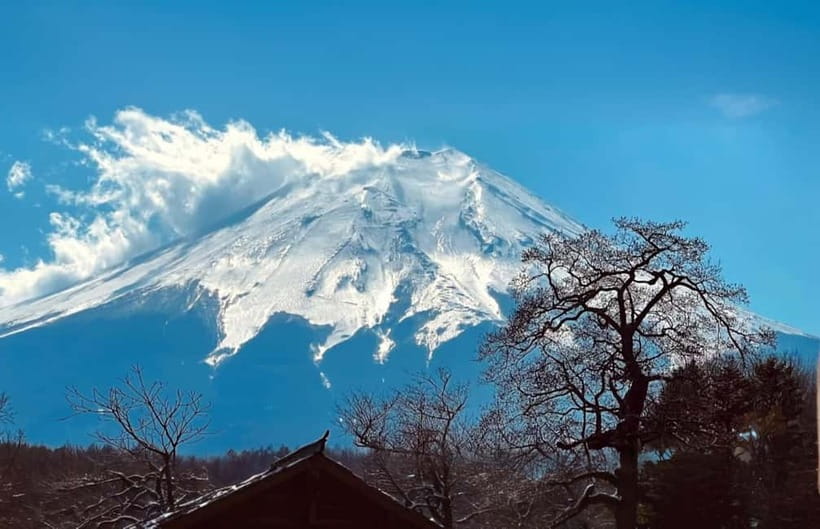 Tokyo: Mt. Fuji Summer Trip 5th Station & Lake Kawaguchi - Key things that make this Mt. Fuji day trip work