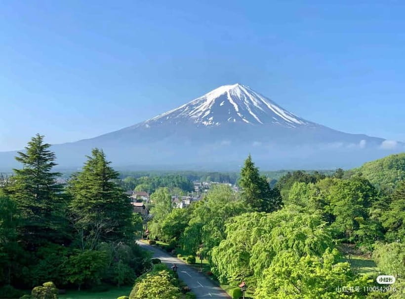 Tokyo: Mt. Fuji Summer Trip 5th Station & Lake Kawaguchi - Best-fit for who: perfect if you want structure, not if you want freedom