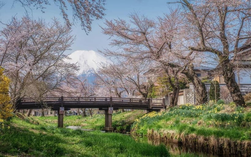 Tokyo: Mt. Fuji Summer Trip 5th Station & Lake Kawaguchi - Oshino Hakkai: crystal-clear ponds, easy strolling, and lunch built in