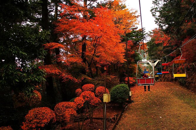 Tokyo: Mt Takao Tour with Ramen and Tattoo-Okay Hot Spring - Mt Takao: The Tokyo Outskirts Day Trip That Feels Like a Reset