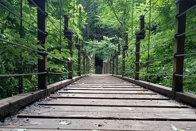Tokyo: Mt Takao Tour with Ramen and Tattoo-Okay Hot Spring - Cable Car or Chair Lift Up: Faster Views, Less Exhaustion