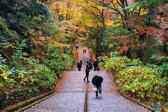 Tokyo: Mt Takao Tour with Ramen and Tattoo-Okay Hot Spring - Price and Value: Why $120 Can Make Sense Here