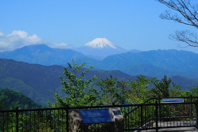 Tokyo: Mt Takao Tour with Ramen and Tattoo-Okay Hot Spring - The Takao 599 Museum: A Quick Primer That Makes the Nature Stops Click