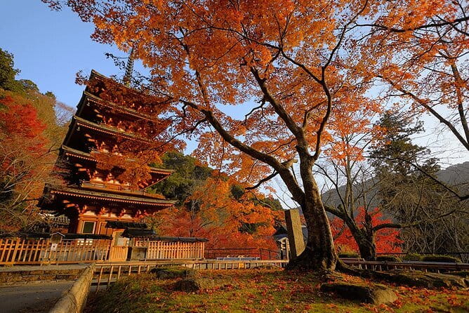 Tokyo Nagano Snow Monkey Park and Zenkoji Temple English driver - Obuse Onsen Area and Hokusai Connection: Art, Museums, and Chestnuts