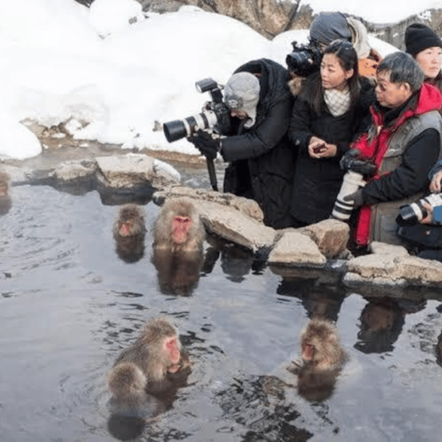 Tokyo: Nagano Snow Monkeys and Zenkoji Tour with Temples - Key things that make this tour worth your time