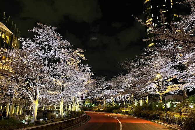 Tokyo Night Bike Tour: From Shibuya to Tokyo Tower via Roppongi - Why Shibuya to Tokyo Tower feels different after dark