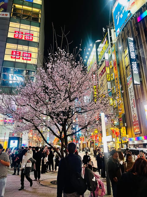 Tokyo Night Drive Wangan Expressway and Daikoku PA - Who this tour is best for (and who should skip it)