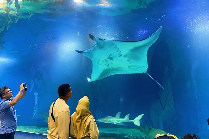 Tokyo Night E-Bike Tour with Tokyo Tower and Dolphin Show - Azabujuban snack break: the local stop you’ll actually use