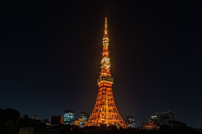 Tokyo Night E-Bike Tour with Tokyo Tower and Dolphin Show - Guide quality and the “English-friendly” factor