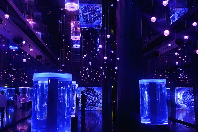Tokyo Night E-Bike Tour with Tokyo Tower and Dolphin Show - Price and value: why $104.51 can work