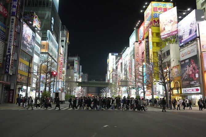 Tokyo Night Tour Akihabara, Shibuya, Karaoke and City Lights - Ueno Park at Dusk: Calm Before the Neon