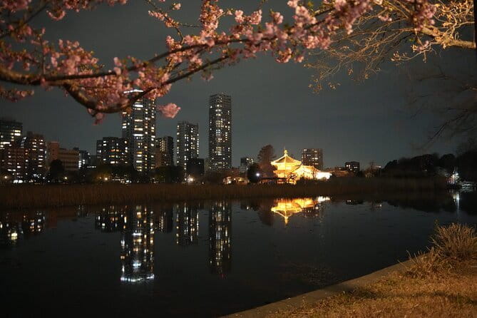Tokyo Night Tour Akihabara, Shibuya, Karaoke and City Lights - Meeting Point, Start Time, and How You’ll Get Around