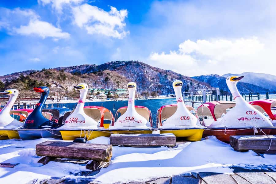 Tokyo: Nikko Day Tour Shrines, Lake Chūzenji & Kegon Falls - Key highlights at a glance