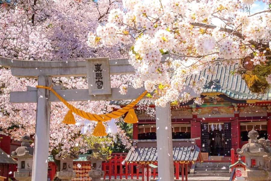 Tokyo: Nikko Day Tour Shrines, Lake Chūzenji & Kegon Falls - From Tokyo to Nikko: how the private ride really helps