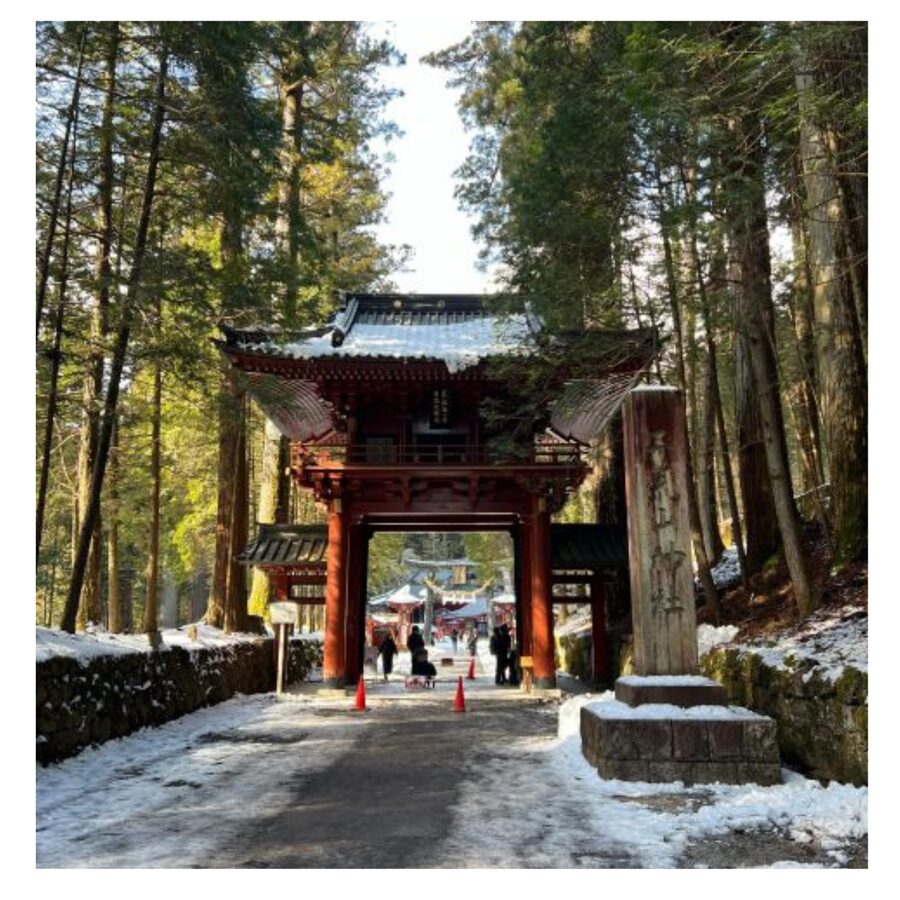 Tokyo: Nikko Day Tour Shrines, Lake Chūzenji & Kegon Falls - Edo Wonderland with samurai and ninja shows