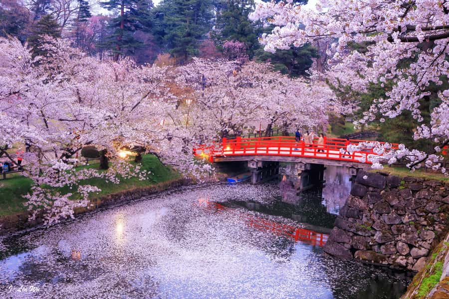 Tokyo: Nikko Day Tour Shrines, Lake Chūzenji & Kegon Falls - Nikko Toshogu UNESCO and the red Shinkyo Bridge walk