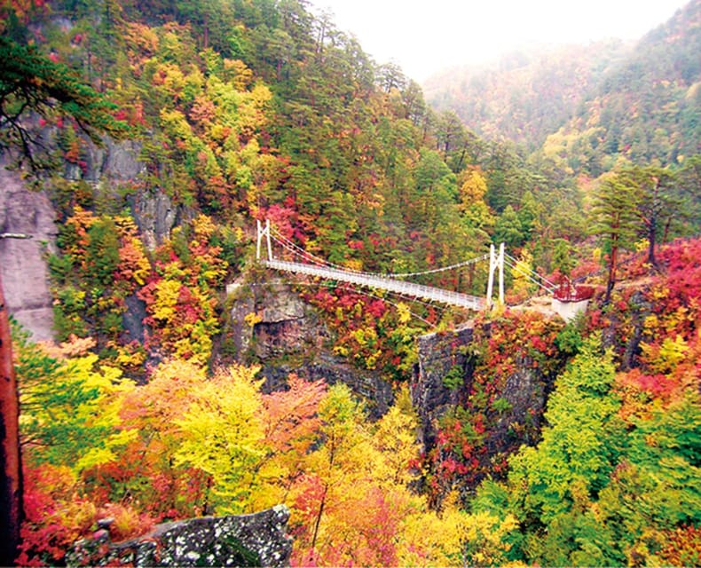 Tokyo: Nikko Day Tour with English Driver and Flexible … - Tamozawa Imperial Villa Memorial Park: the quieter Meiji-era break