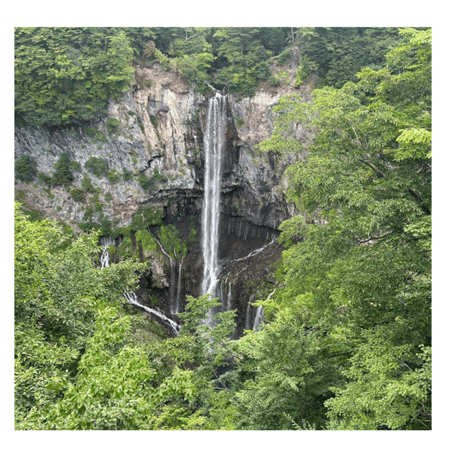 Tokyo: Nikko Kegon Falls Lake Chuzenji Toshogu Temple & More - Price and Logistics: what you’re really paying for
