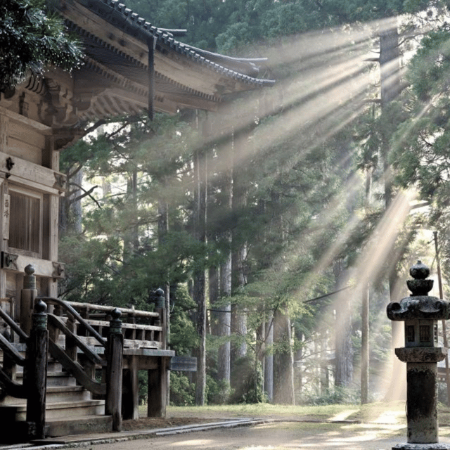 Tokyo: Nikko Kegon Falls Lake Chuzenji Toshogu Temple & More - Edo Wonderland: 45 minutes that can still feel like a time machine
